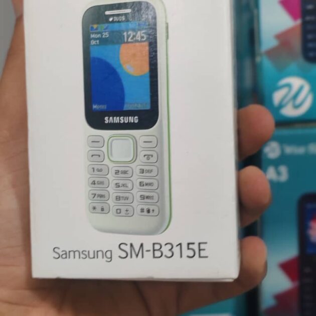 SAMSUNG B315