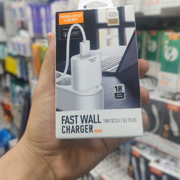 FAST CHARGER